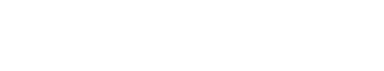 Logo Dix